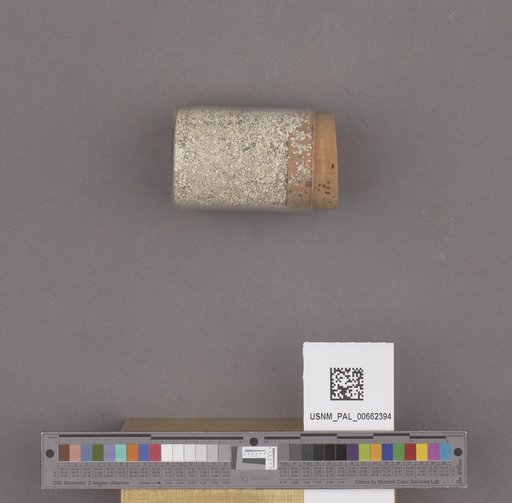 NSF ADBC EPICC TCN