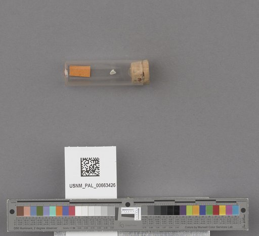 NSF ADBC EPICC TCN
