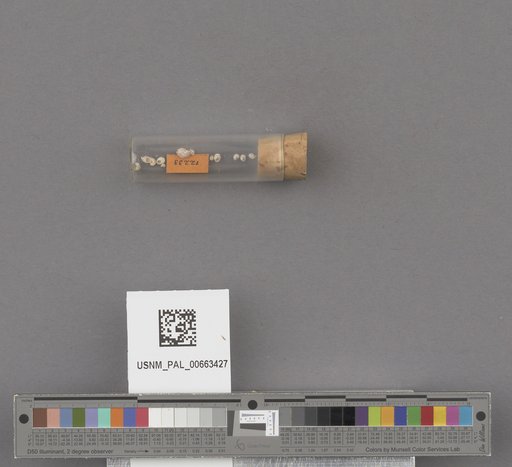 NSF ADBC EPICC TCN