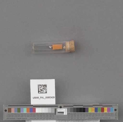 NSF ADBC EPICC TCN