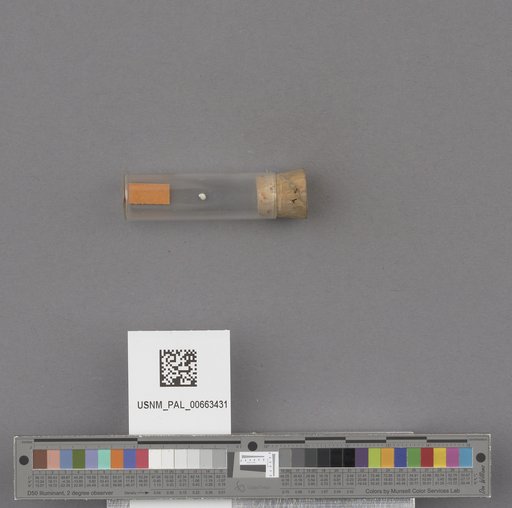 NSF ADBC EPICC TCN