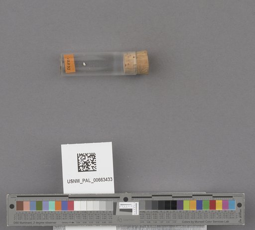 NSF ADBC EPICC TCN