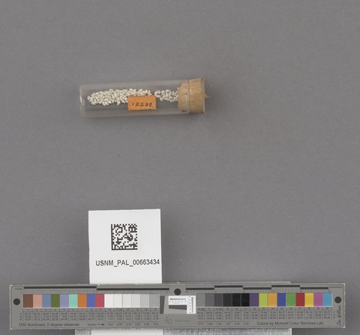 NSF ADBC EPICC TCN