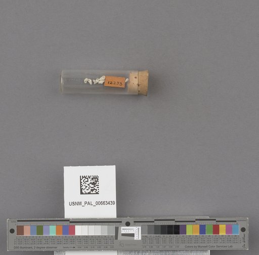 NSF ADBC EPICC TCN
