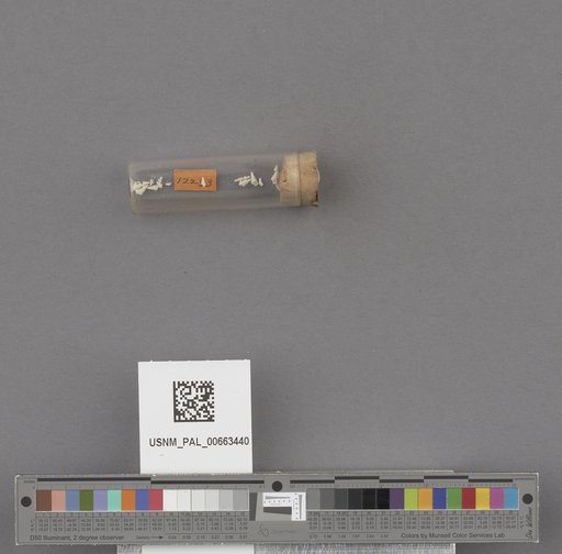 NSF ADBC EPICC TCN