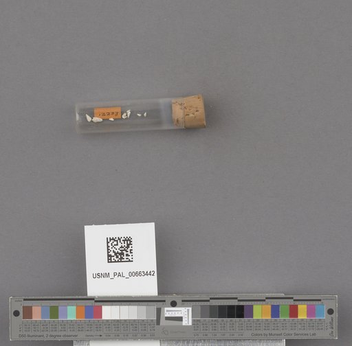 NSF ADBC EPICC TCN