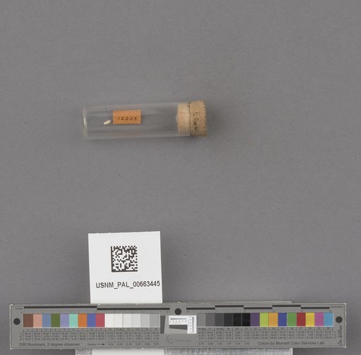 NSF ADBC EPICC TCN