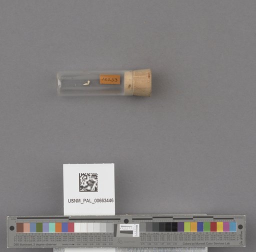 NSF ADBC EPICC TCN