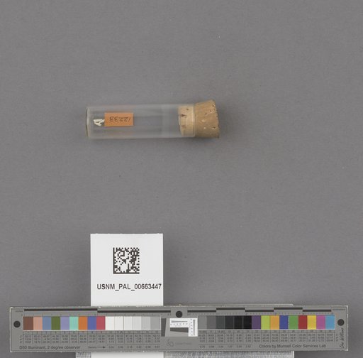 NSF ADBC EPICC TCN
