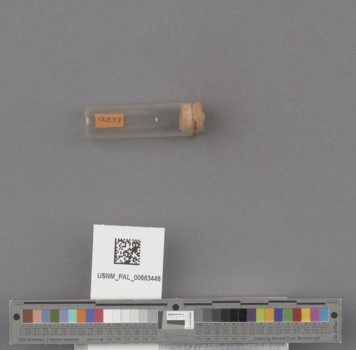 NSF ADBC EPICC TCN