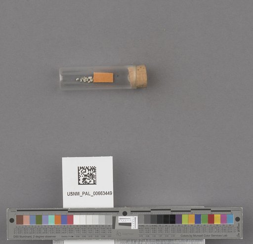 NSF ADBC EPICC TCN