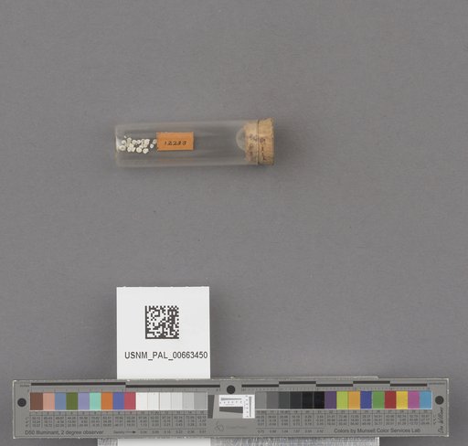 NSF ADBC EPICC TCN