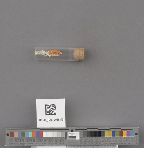 NSF ADBC EPICC TCN