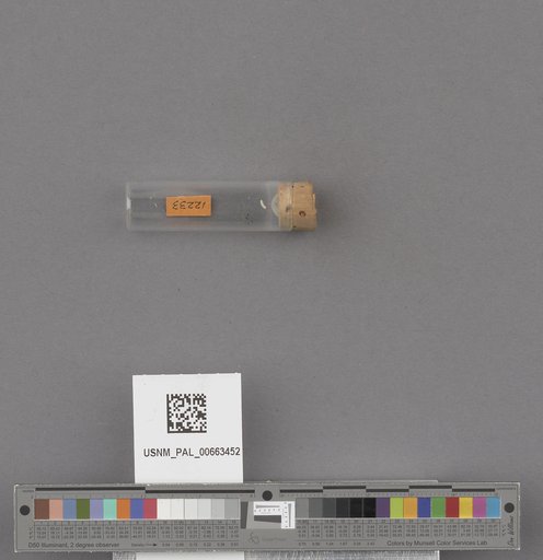NSF ADBC EPICC TCN