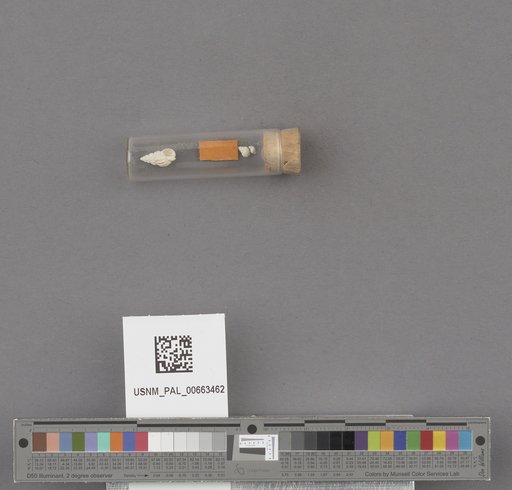 NSF ADBC EPICC TCN