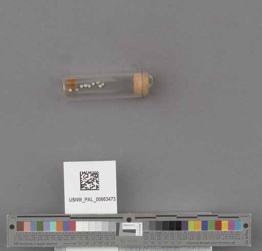 NSF ADBC EPICC TCN