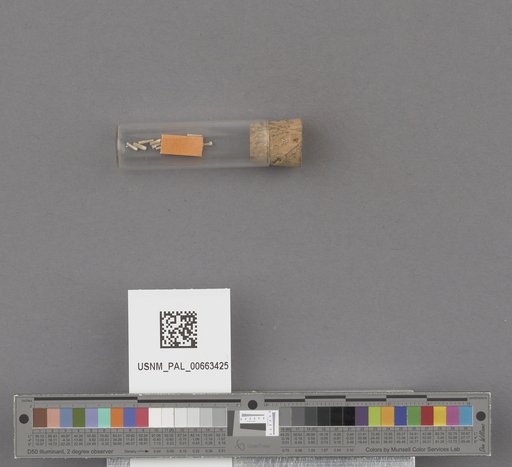NSF ADBC EPICC TCN