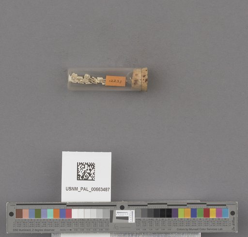 NSF ADBC EPICC TCN