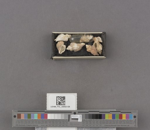 NSF ADBC EPICC TCN