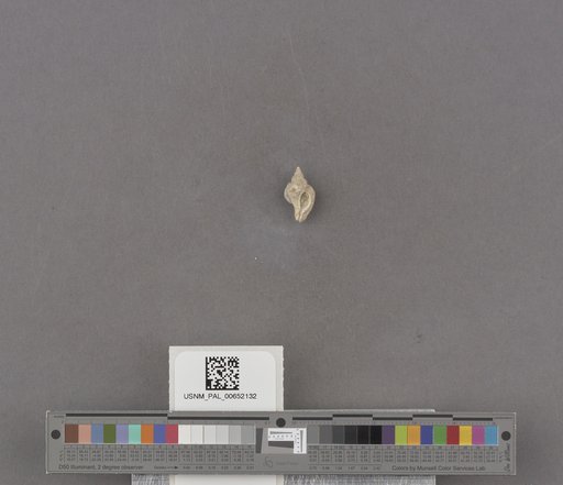 NSF ADBC EPICC TCN