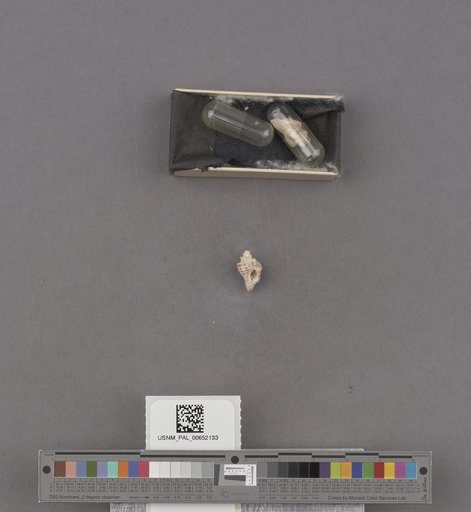 NSF ADBC EPICC TCN