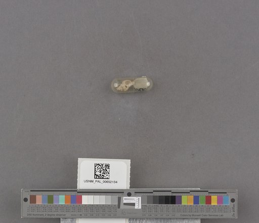 NSF ADBC EPICC TCN