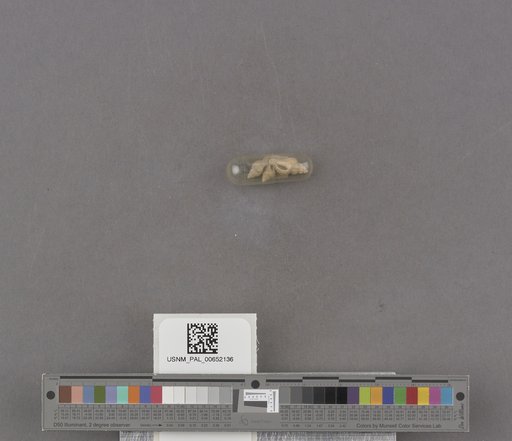 NSF ADBC EPICC TCN
