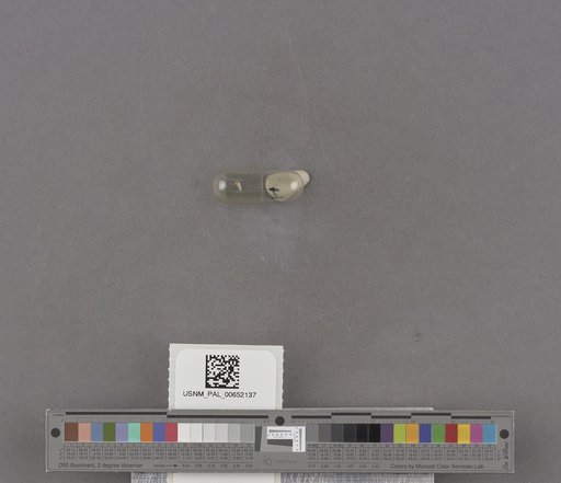 NSF ADBC EPICC TCN