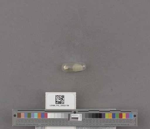 NSF ADBC EPICC TCN