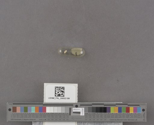 NSF ADBC EPICC TCN