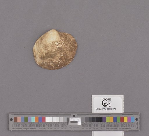 NSF ADBC EPICC TCN