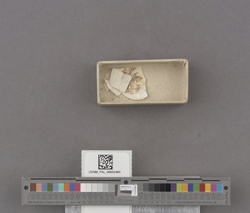 NSF ADBC EPICC TCN