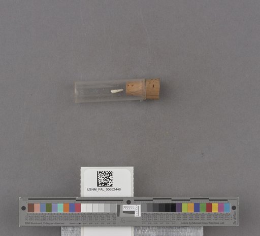 NSF ADBC EPICC TCN