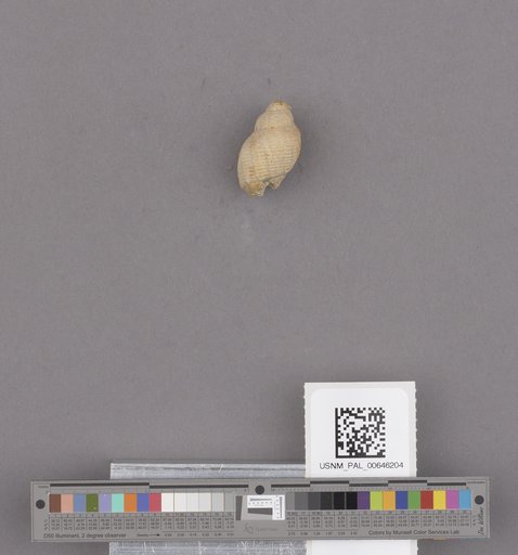 NSF ADBC EPICC TCN