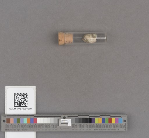 NSF ADBC EPICC TCN