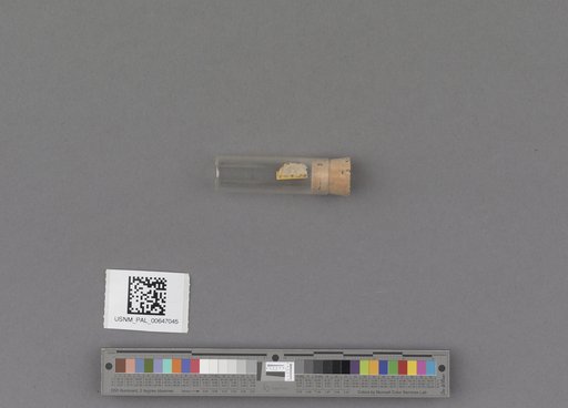 NSF ADBC EPICC TCN