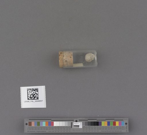NSF ADBC EPICC TCN