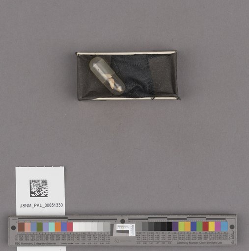 NSF ADBC EPICC TCN