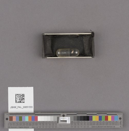 NSF ADBC EPICC TCN