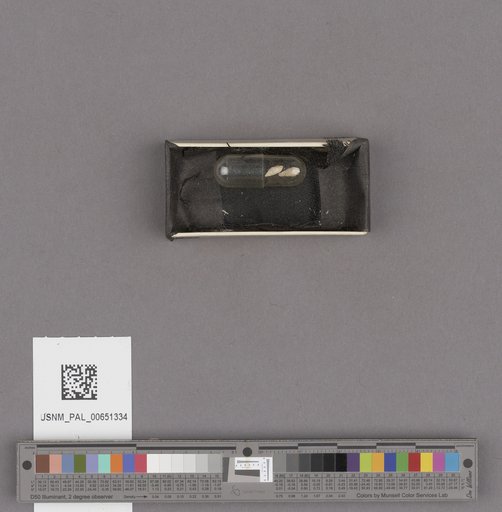 NSF ADBC EPICC TCN