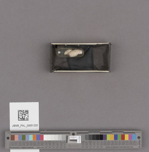 NSF ADBC EPICC TCN