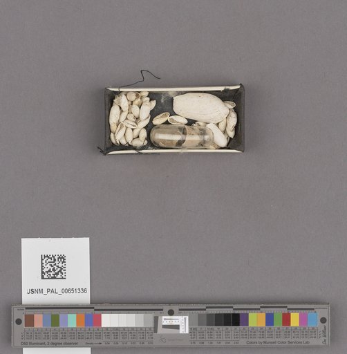 NSF ADBC EPICC TCN