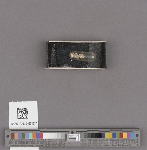 NSF ADBC EPICC TCN