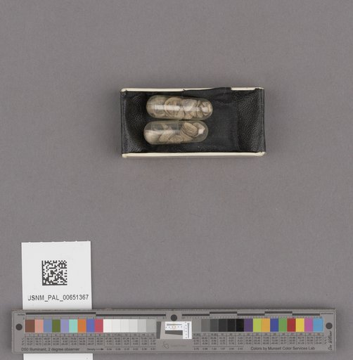 NSF ADBC EPICC TCN