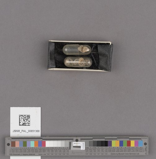 NSF ADBC EPICC TCN
