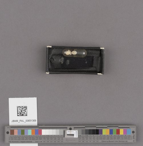 NSF ADBC EPICC TCN