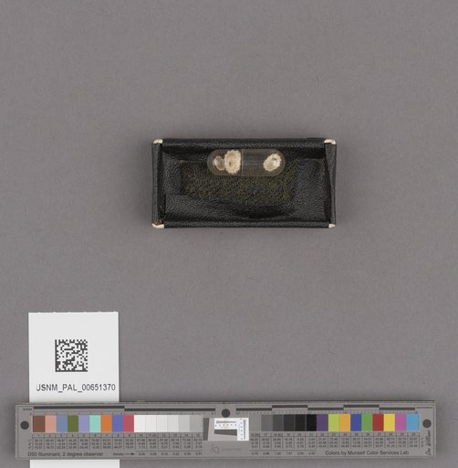 NSF ADBC EPICC TCN