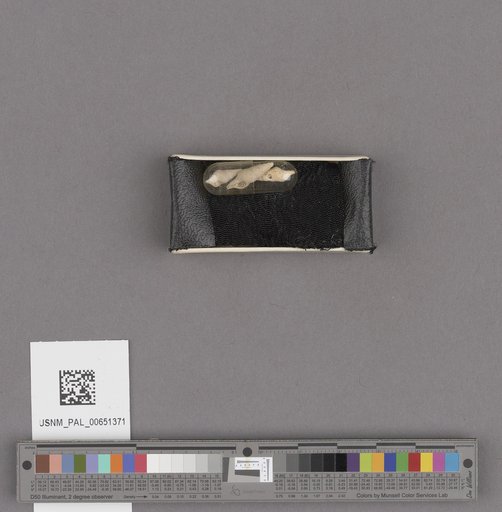 NSF ADBC EPICC TCN