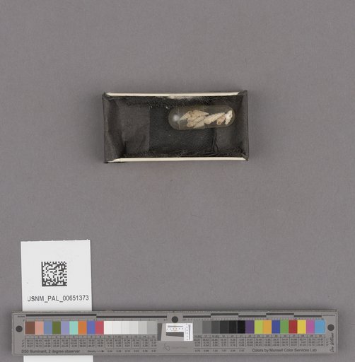 NSF ADBC EPICC TCN