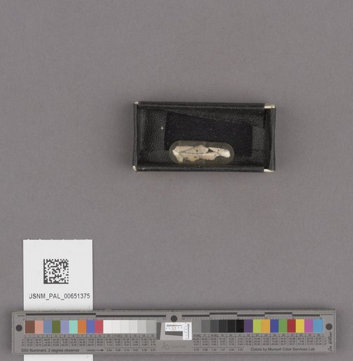 NSF ADBC EPICC TCN